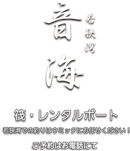 若狭湾 音海 筏・磯・レンタルボート